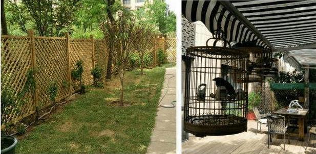 参观杨幂现实的豪宅,院子被设计成大片菜园,浪费这么好的别墅了