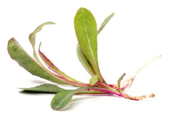 12岁少年,咳出血痰,肺癌晚期,父母抱头痛哭:我们的错