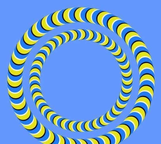 它们是否在移动?5张错觉图将揭示你个性的秘密|错觉|气泡|轮子_新浪新