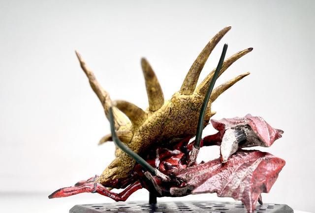 首先是大名盾蟹!