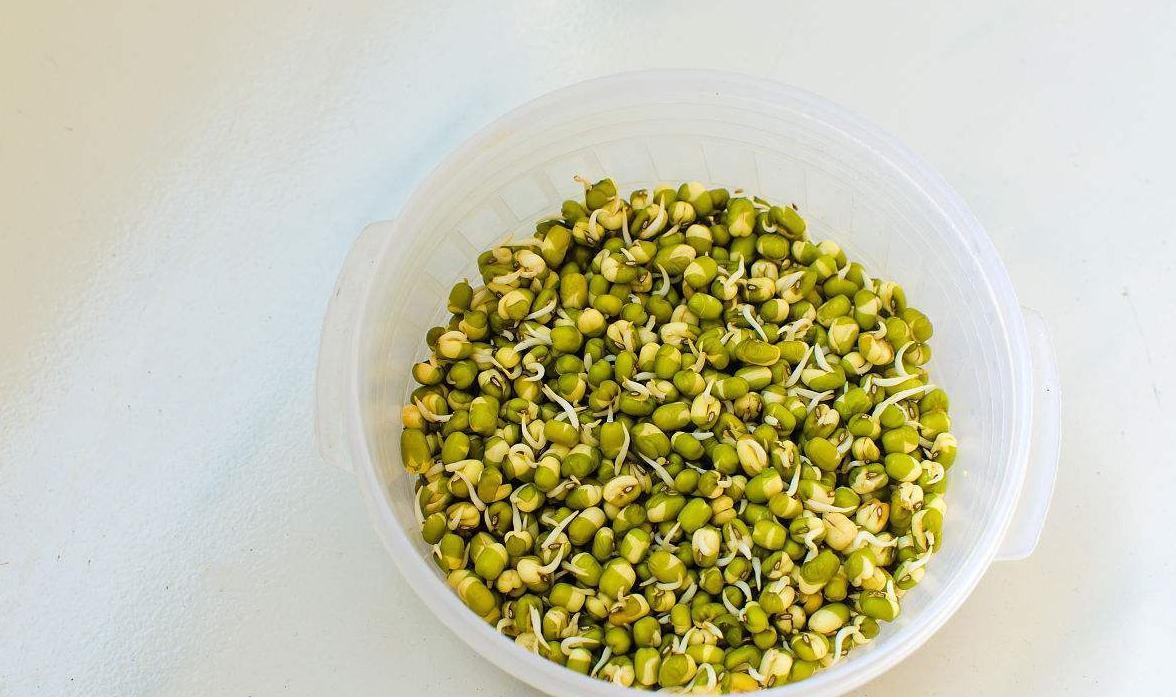 绿豆芽健康营养,美味可口,但炒不好会闹肚子, 正确的做法在这里