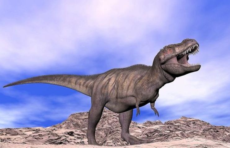 它真的没有对手吗?