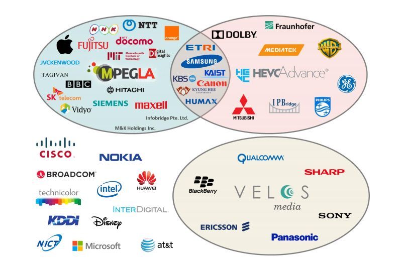 HEVC视频播放器下载 新手如何做SEO优化