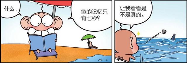 呆头农场:呆头拿石头砸鲨鱼,只为验证鱼的记忆是否只有七秒