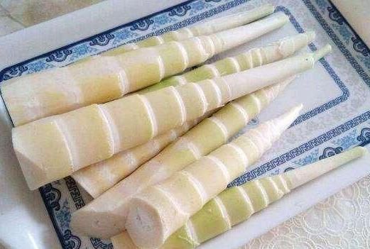竹笋是苦的怎么回事发苦的竹笋能吃吗