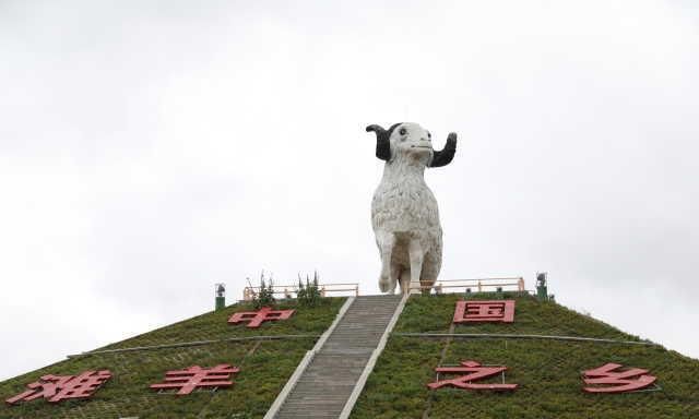 盐池滩羊产业驶入提质增效快车道