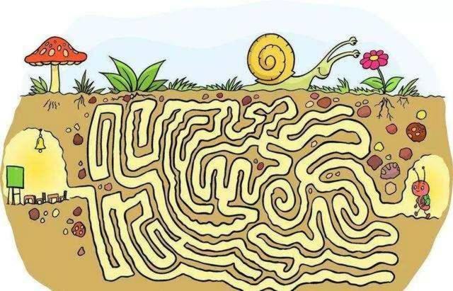 不是孩子笨,而是"空间知觉"能力差|迷宫|知觉|空间_新浪新闻