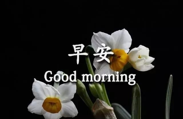 2020鼠年最新早安祝福语大全简短 早上好表情图片带字带祝福语句