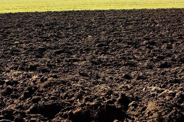 土壤|碱性|酸碱性_新浪新闻