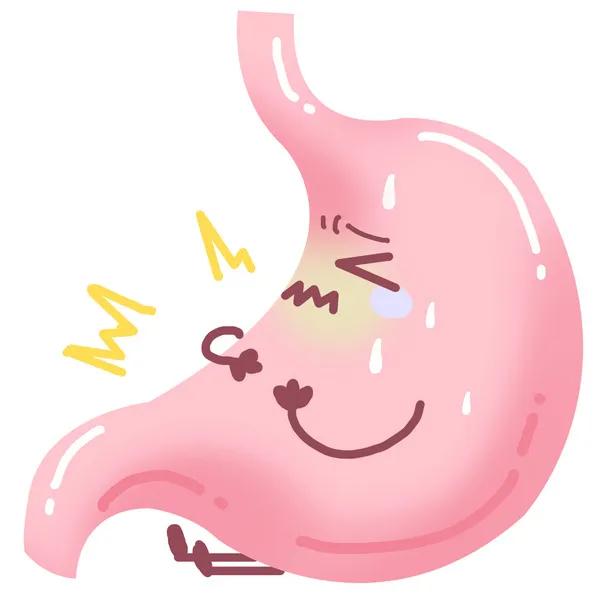 白粥牛奶靠边站它才是养胃之王胃口差的人别错过