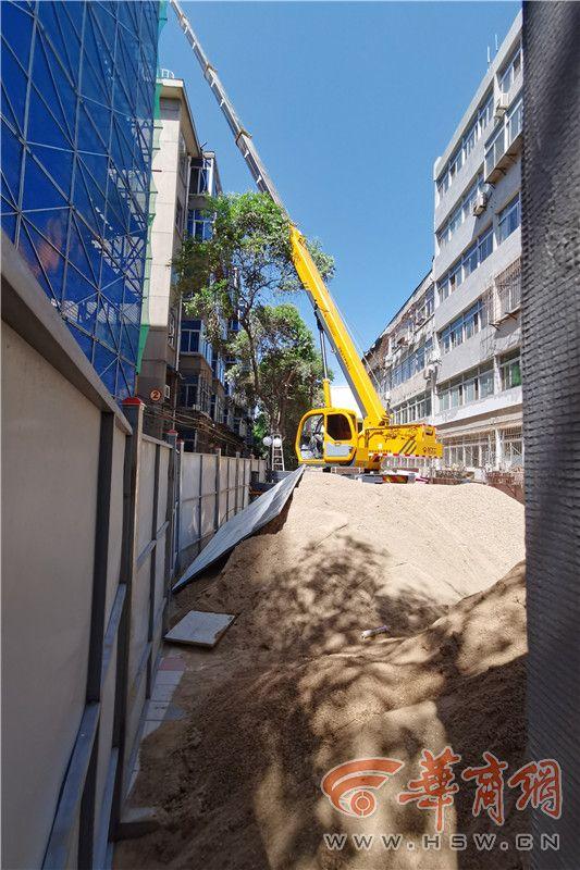 太白小区老旧小区改造 十多棵大树树冠被修剪引居民不满