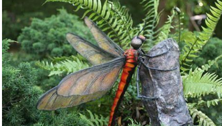 3亿年前的蜻蜓和现在的鹰鹫那么大,当时的地球有何不同?