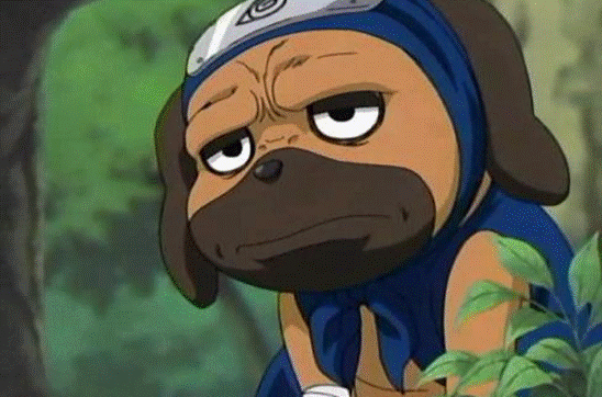 放出了自己的通灵兽——八只忍犬,而最为突出的就是一只名叫帕克的狗