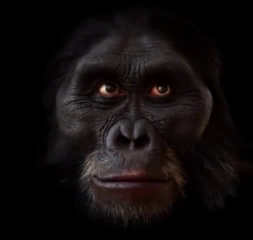 现在的猿猴能变成人吗为什么以前的古猿会成为人