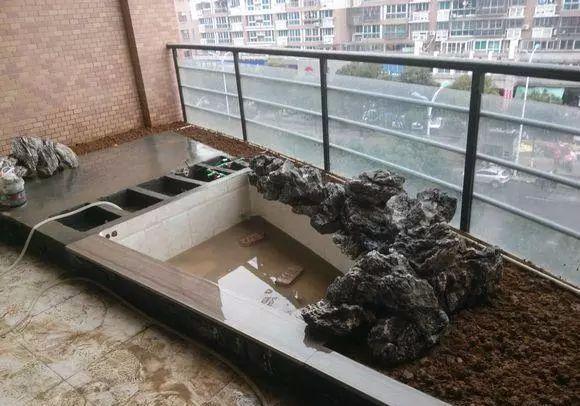 老婆在阳台砌了个鱼池总共加一起花了500块钱真是赚到了