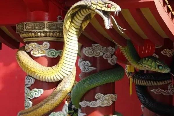 全球唯一的"蛇庙",里面生存着无数青蛇,游客却络绎不绝!|寺庙|马来西