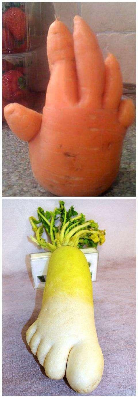 超萌的水果,长得有点"不正经",这是要渡劫"成精"吗?