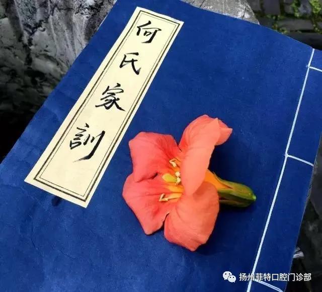 同心圆企业家联盟盟友:菲特口腔举行"5.12国际护士节"天使同游|菲特|