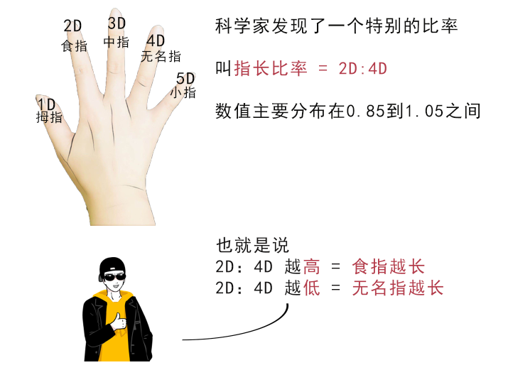 亲测找老公手指越长越幸福
