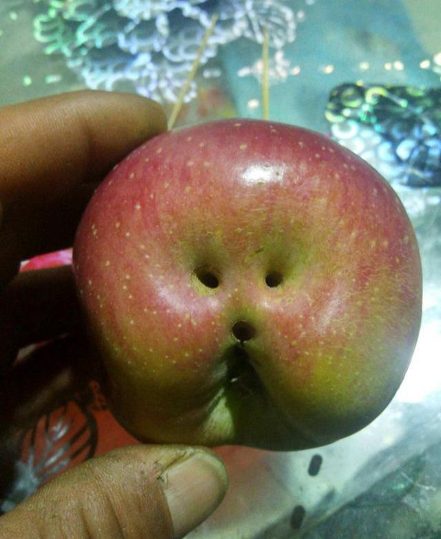 超萌的水果,长得有点"不正经",这是要渡劫"成精"吗?