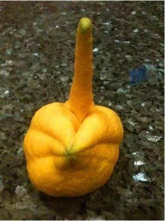 超萌的水果,长得有点"不正经",这是要渡劫"成精"吗?