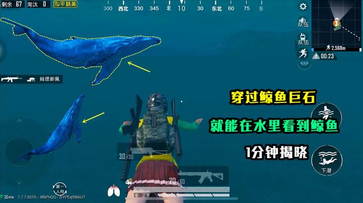 和平精英揭秘:穿过鲸鱼巨石,就能在水里看到鲸鱼?1分钟揭晓!