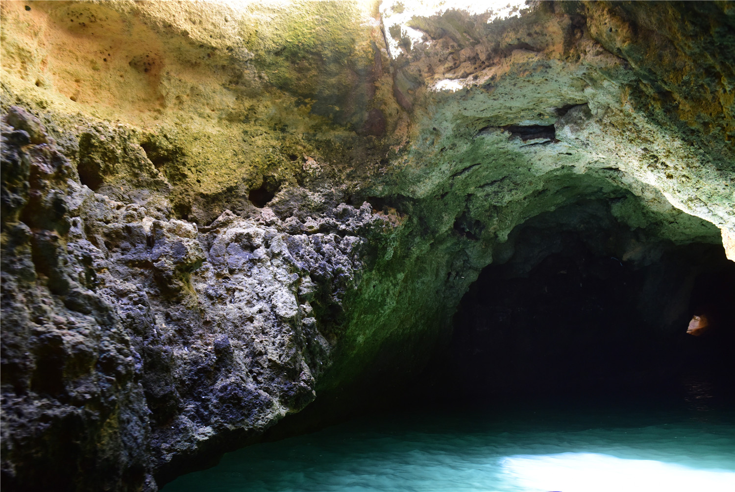 神奇的海洞:游客想深入得坐船驶入,短短几百米却禁止游客游进去