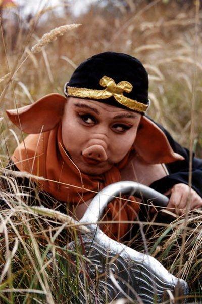 猪八戒走了十万八千里,为啥没瘦下来?美国这项研究或许可以解释