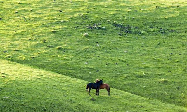 明天过后一马平川3生肖心想事成乐事多多生活喜笑颜开