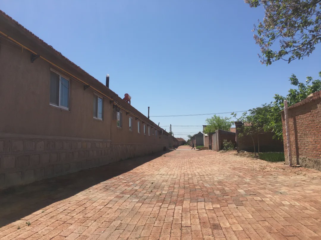 走一走,看一看,大家洼乡村美如画