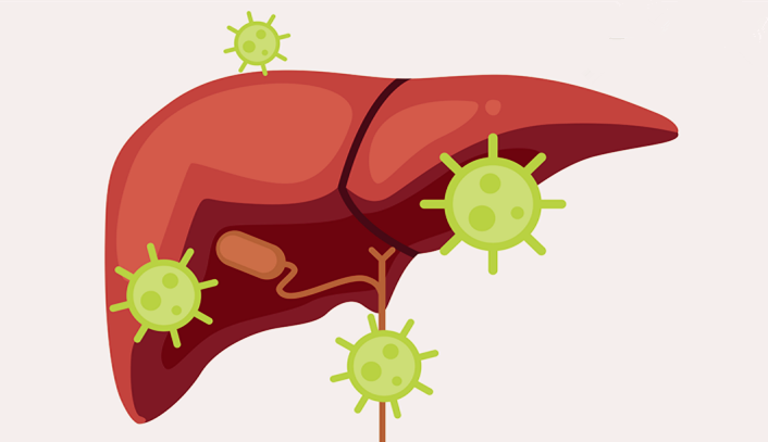 转氨酶长期正常,hbv-dna高病毒载量,乙肝进展转氨酶平行吗?