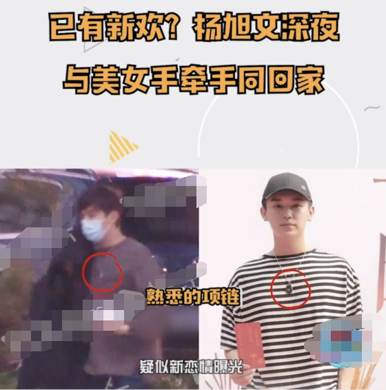 杨旭文深夜牵手酒醉美女回家疑有新恋情,曾卷入任娇裸死坠楼案