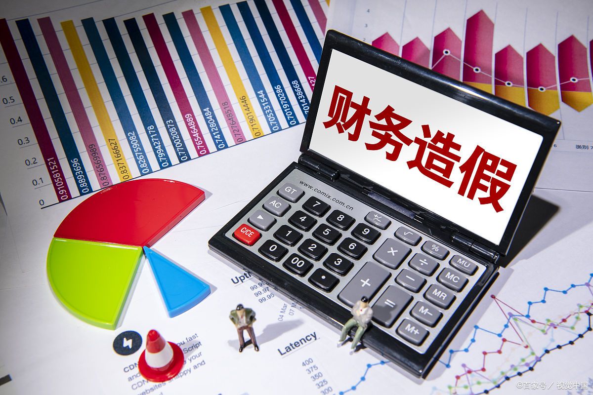 又一行业巨头栽了财务造假300亿