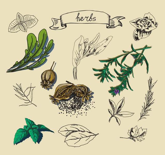 很多中医人没真正弄懂的——中药的性、味、归经