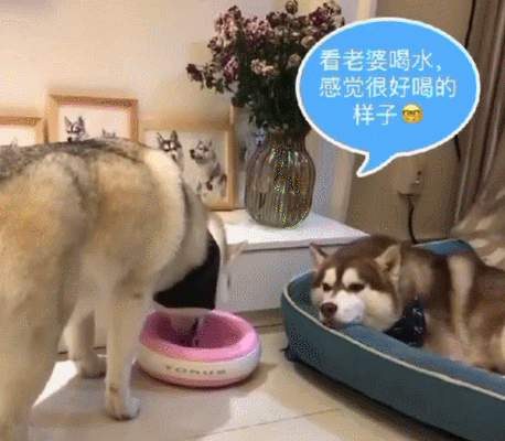 458_400gif 动态图 动图