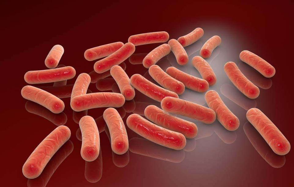 印度生物研究融资机构,接受美国资金储存尼帕病毒样本|新冠肺炎_新浪