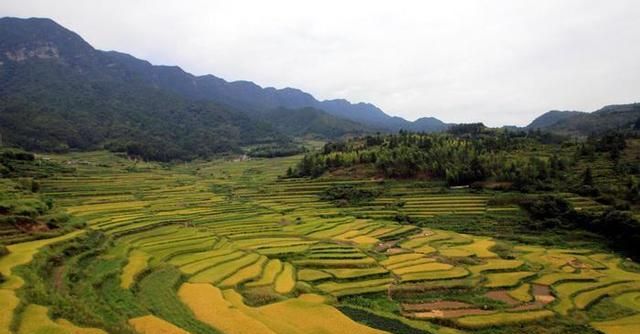 2020福建13月gdp_福建泉州官方预计今年GDP将破万亿提前一年完成总量目标