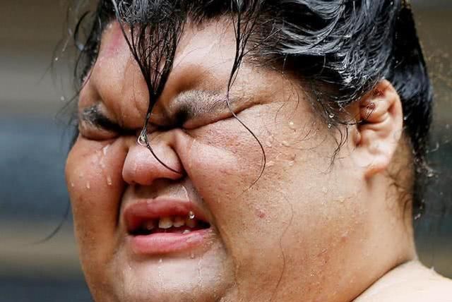 日本最强胶水,相扑力士猛扑挑战,看到肚皮不厚道地笑了!