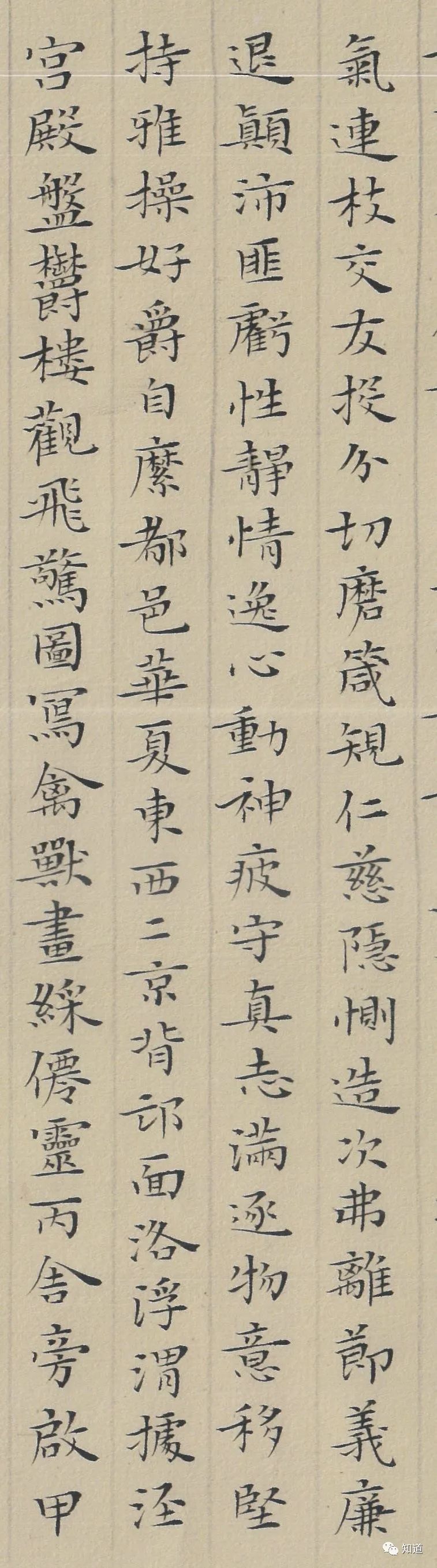 knowart杨文彪小楷千字文