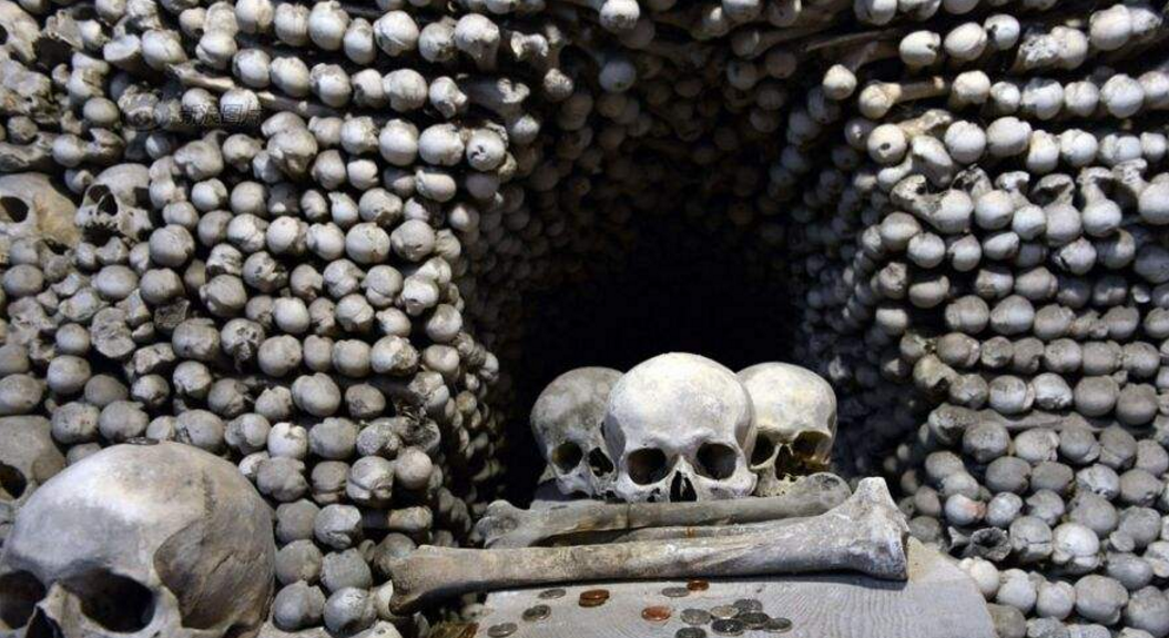 最终当地人不再吃亲人们的遗体,朊病毒也最终消失了