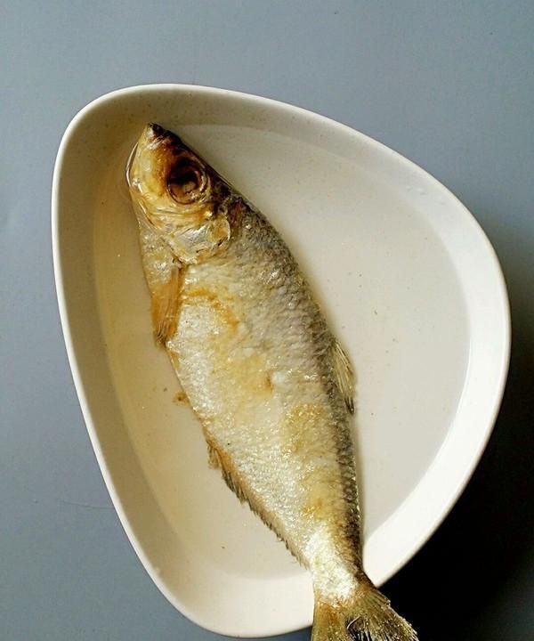 鳓鱼|榔头|宁波_新浪新闻