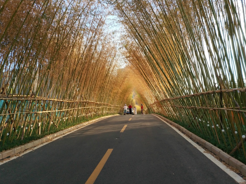 昆明北京路上有一条1公里长的竹林小道,散步,拍照皆宜,很独特