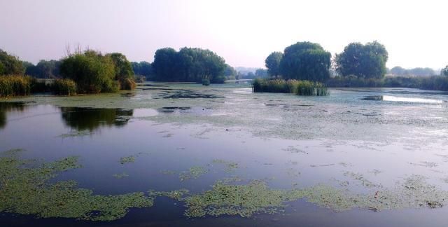 山东最大的人工湖，被打造成4A级旅游区，属大型综合性旅游景区