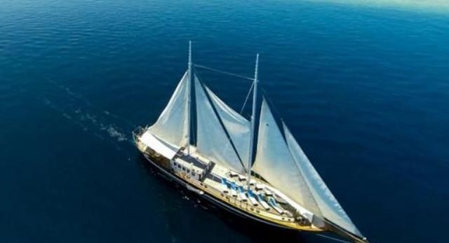 餐饮旅游逐渐恢复航空航海公司或破产数千万人或面临失业