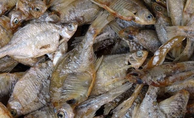 风鱼:鱼香醉深处,生活真味浓