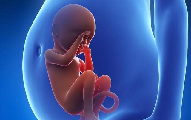 胎儿在妈妈肚子里待十个月,但智力发育只在这3周,错过了太可惜