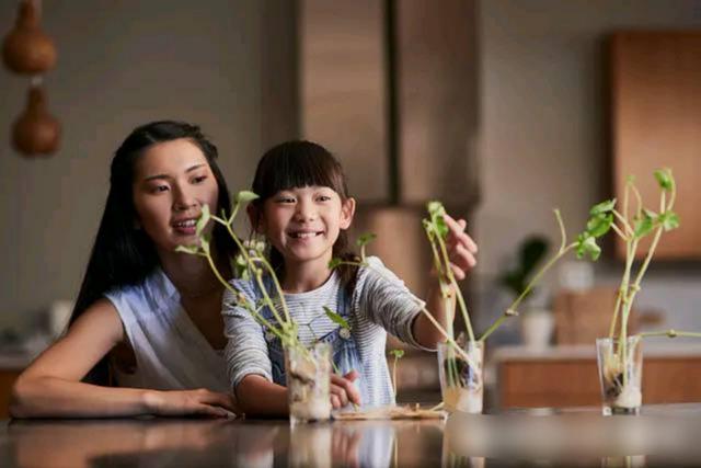 真正高情商的父母,教导孩子不做物质的奴隶,请你要做好3点