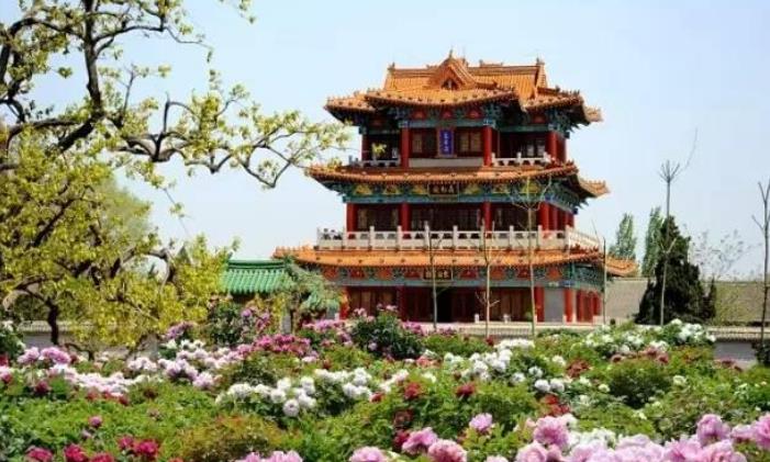 山东最具黑马相的城市：GDP仅次于淄博，未来发展被所有人看好