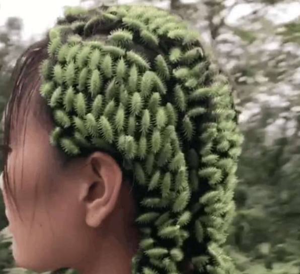 农村姑娘用苍耳做件衣服,最后崩溃了,对此事你怎么看?