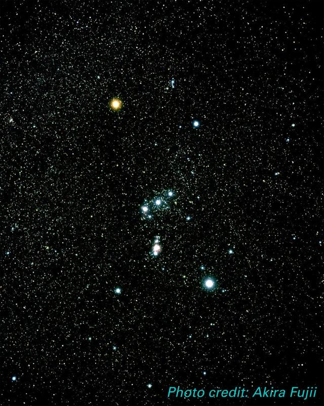 参宿四为何如此巨大?科学家最新猜测:它可能是两颗恒星合并而成